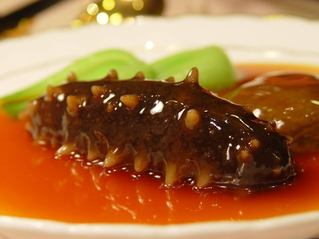 小馋猫吃了即食海参后,出现了这样的画面?