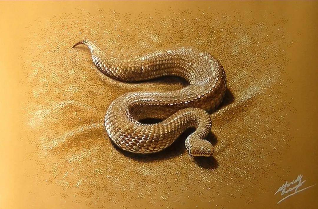 艺乎丨真假难辨的超写实绘画,豪横!