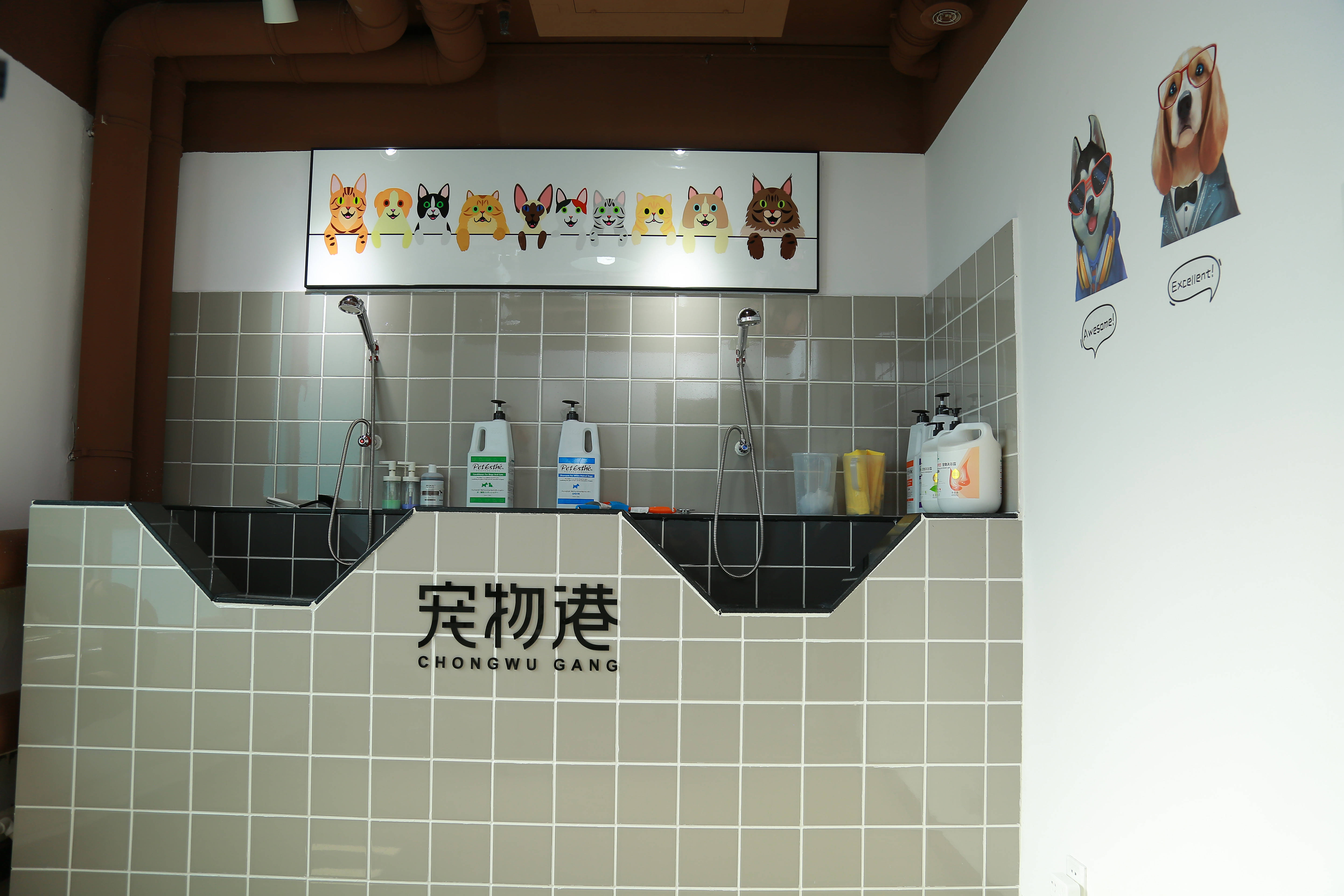 奥体附近有可以寄养宠物的宠物店吗?_柠檬