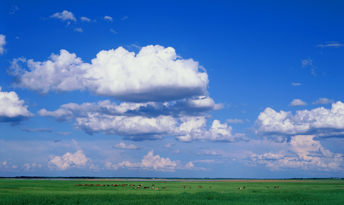这个十一来白城从向海到草原只愿与你相遇