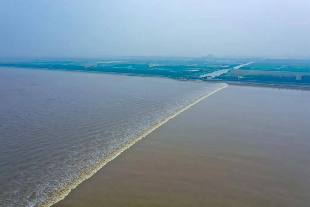 今年八月十八钱江潮比去年大!原因竟是这个!观潮去哪儿?指南收好