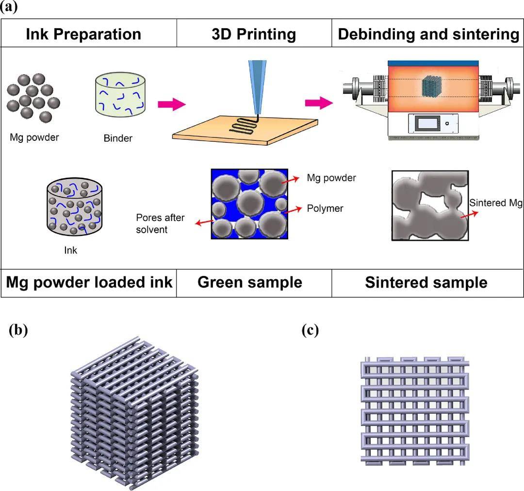 溶劑澆鑄3d打印多孔鎂合金支架可用於骨缺損治療