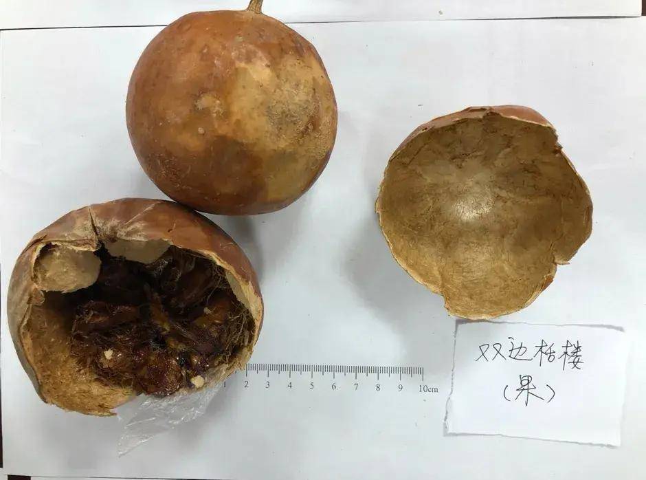 从《诗经》里走出来的中药——瓜蒌_东山