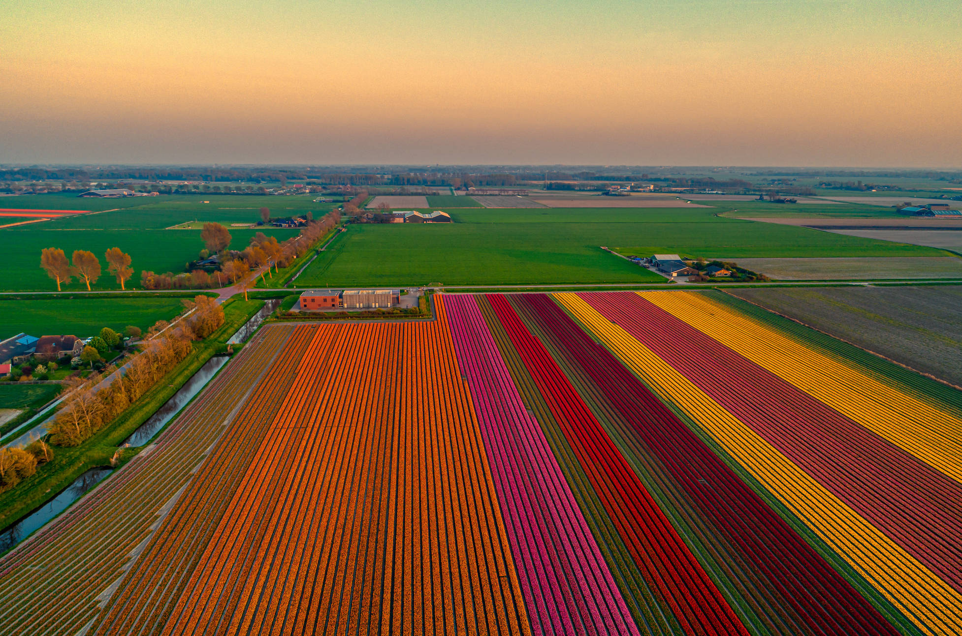 这个国家,靠种地赢得了世界的尊重_荷兰