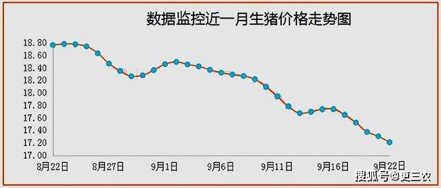 原創15跌豬價下跌不見底恐慌出欄屠企壓價豬價上漲又要涼