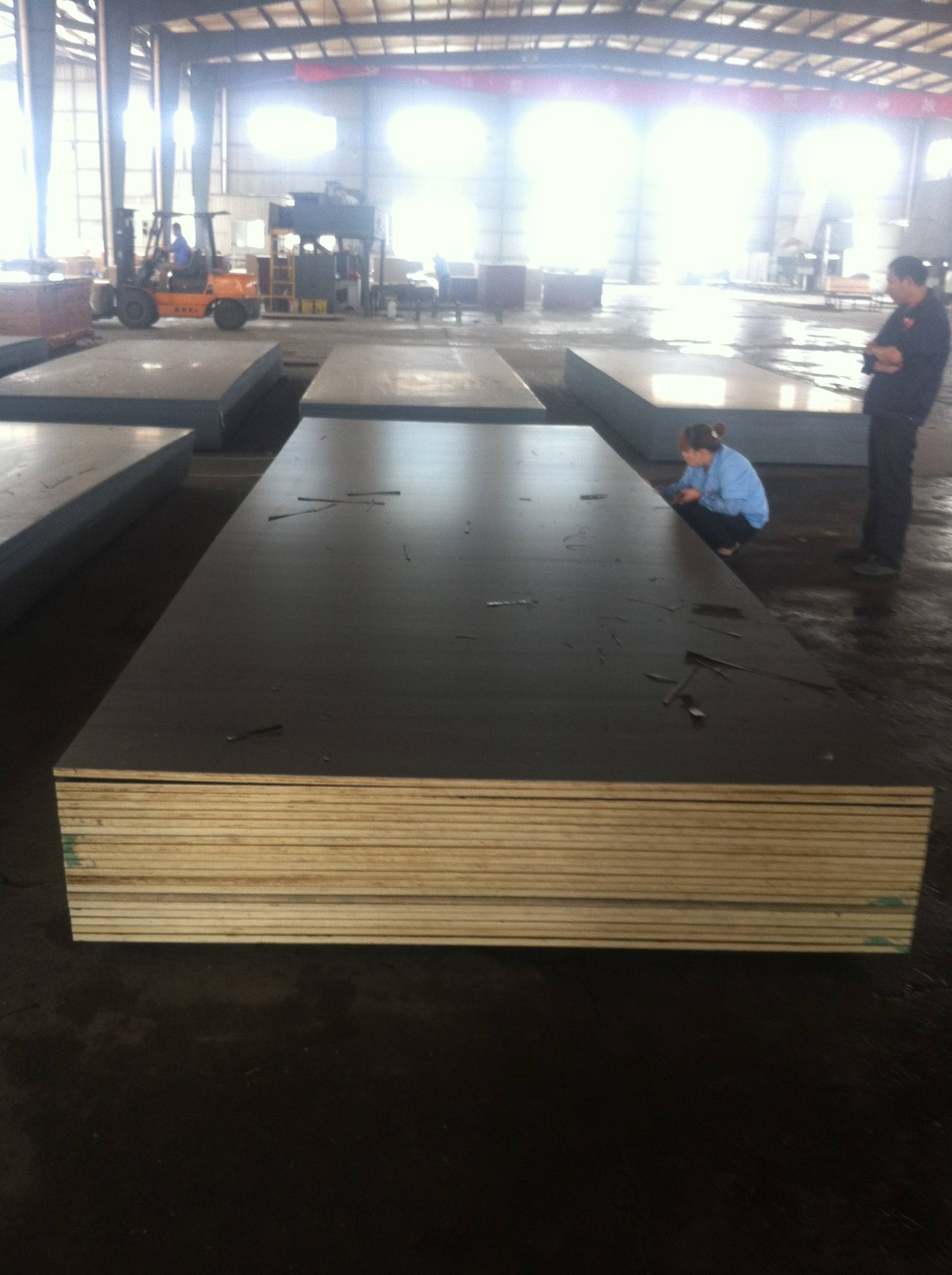 建筑胶合模板_手机搜狐网