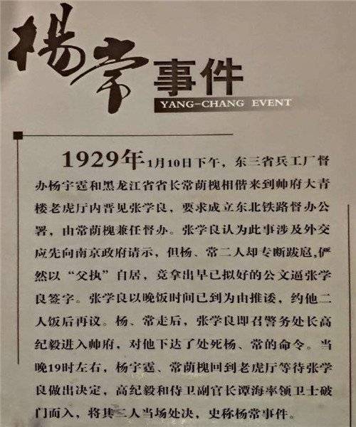 沈阳张氏帅府_张学良