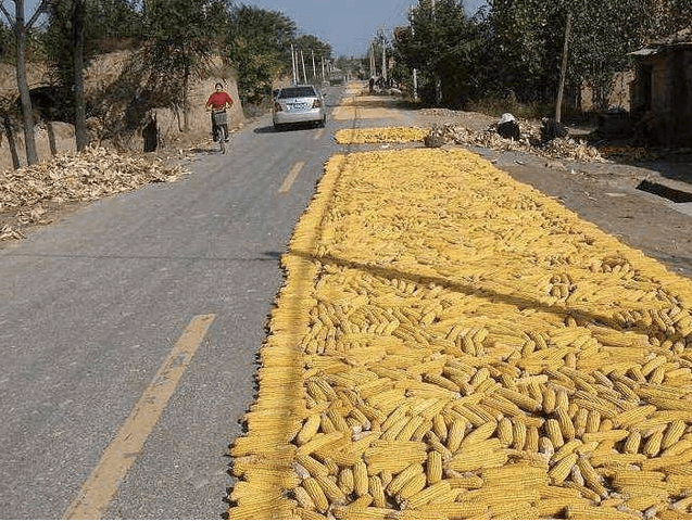 对于农民来说,耕地就是衣食父母,没有耕地农民就没有办法解决温饱问题