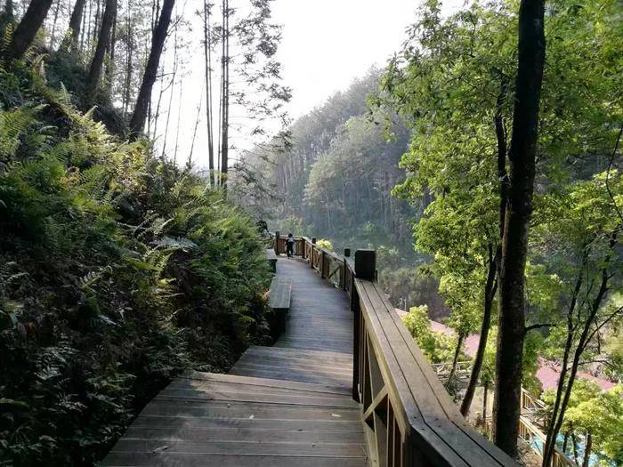 三明市森林康养基地(第一批)拟认定对象公示