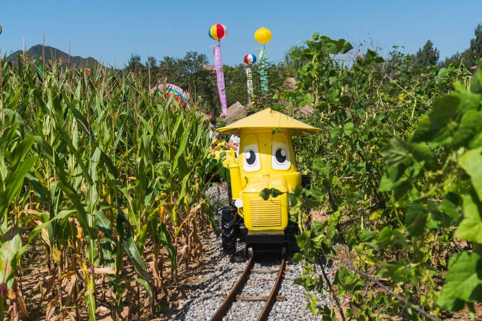 玉米冒险村乐园图片