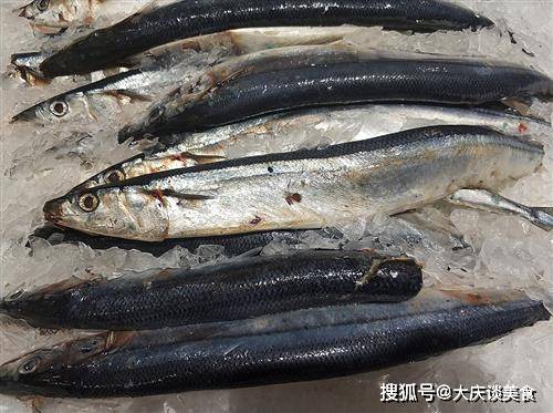 原创这鱼日本人最喜欢吃但在中国价格太便宜反而不受欢迎腥味太大