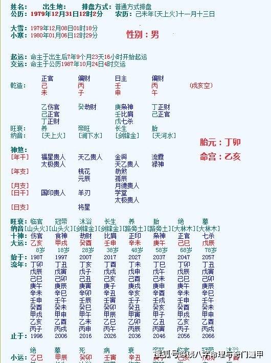 胎元:丁卯 命宫:乙亥日空:戌亥大运:乙亥 甲戌 癸酉 壬申 辛未 庚午乾
