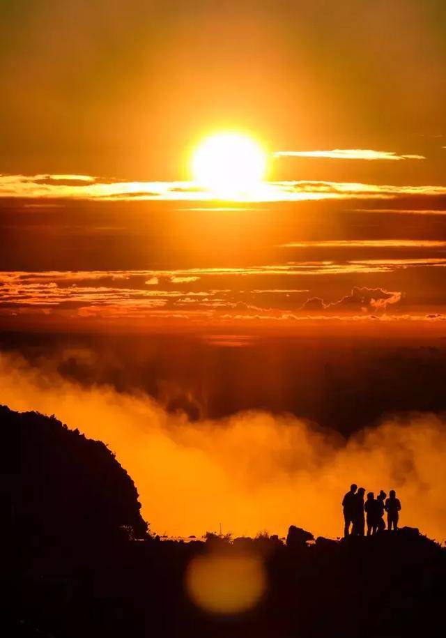 新冠灭活疫苗离成功只差最后一公里