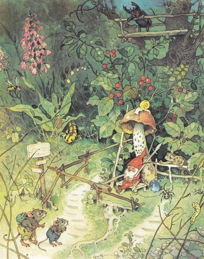 绘本fritzbaumgarten森林里的奇遇