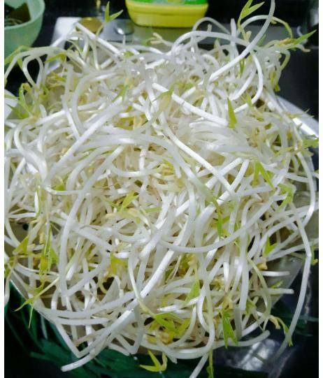 北方人常吃的一道家常菜,价格很廉价,清肠又排毒,5块钱炒一盘_豆芽