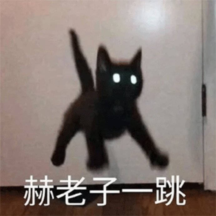 搞笑表情包图片:这黑东西是什么,黑了我一跳