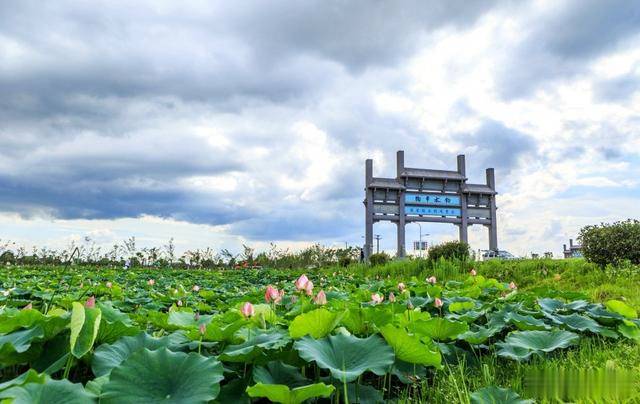 芜湖陶辛水韵图片