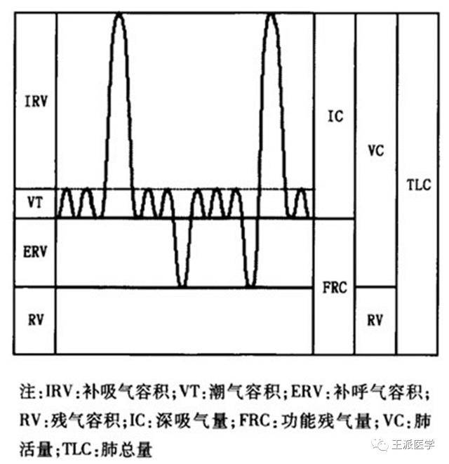 我不是医生怎么看懂肺功能报告肺部疾病患者学会自己看病