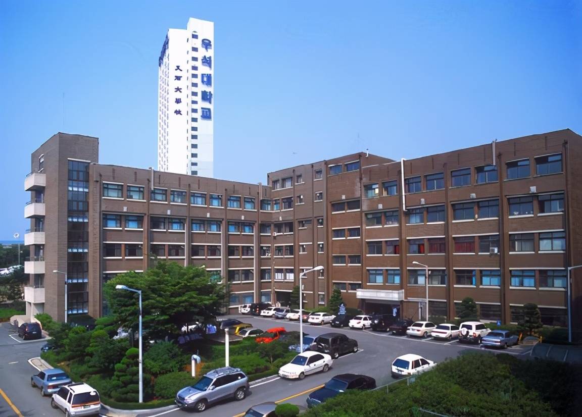 韩国艺术类专业的最好大学有哪些