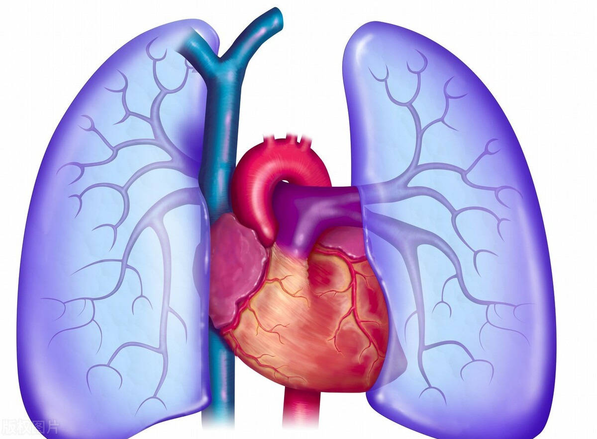 老慢支,肺气肿慢慢加重,影响到心脏,最后变成肺心病了