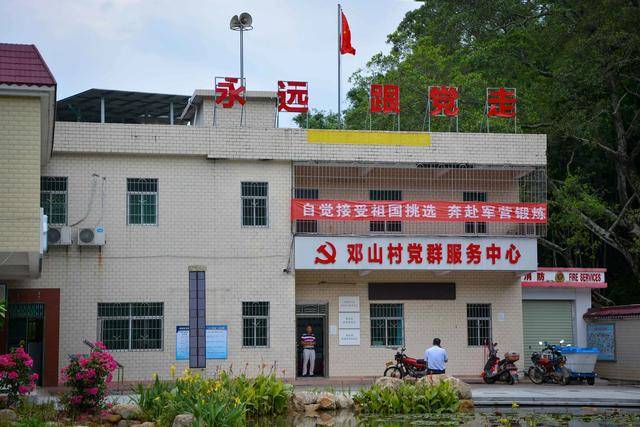 增城的小楼邓山:千亩百年乌榄树,梯田美景乡居乐