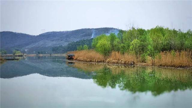 原創武漢國慶旅遊攻略去蔡甸賞花玩水體驗一下鄉村慢生活