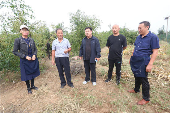 邯郸邢台两地考察,冬枣葡萄优质果实致富乡民_广宗县