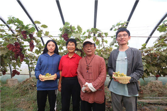 邯郸邢台两地考察,冬枣葡萄优质果实致富乡民_广宗县
