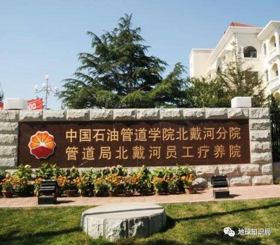 老干部为什么喜欢来这里放松身体地球知识局
