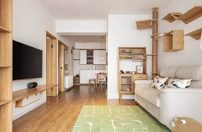养猫家庭可以如何装修?合理利用空间,主人和宠物住得都开心