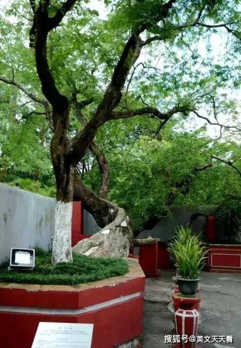 纪念孙中山:走进翠亨村