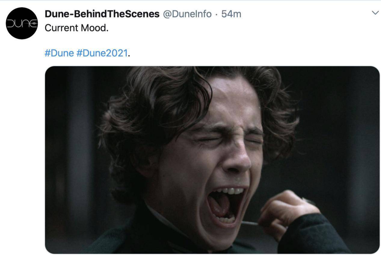 原创科幻巨制沙丘撤出今年档期新蝙蝠侠或改档网友双重打击