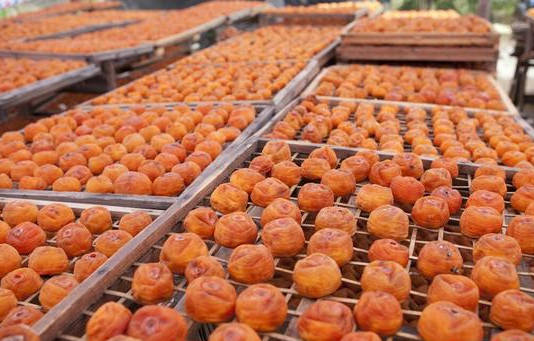 又到柿子上市季节了如何晒制香甜耐嚼的柿子干