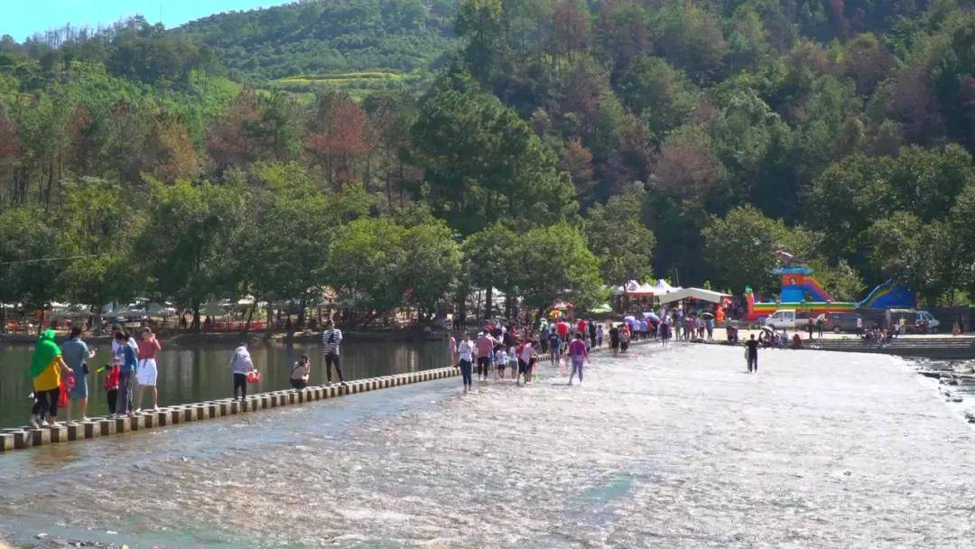 永嘉这片格桑花开了免门票速约