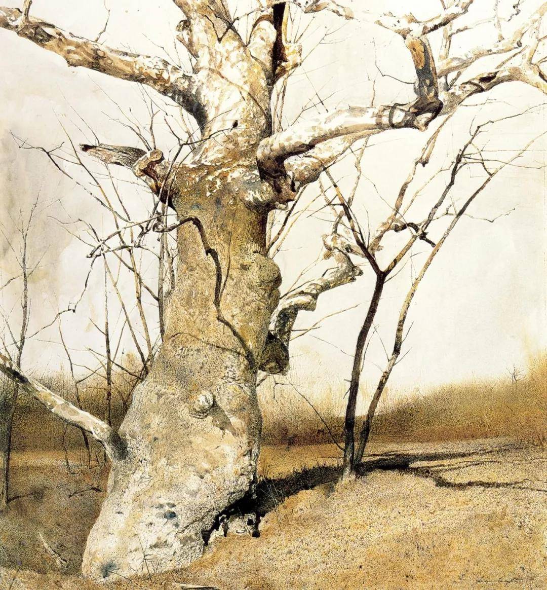 大师安德鲁怀斯作品辑