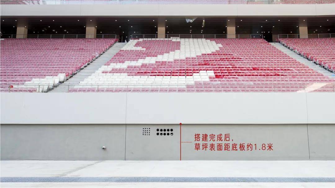 白瓷碗里有多少奥秘浦东足球场揭开面纱啦