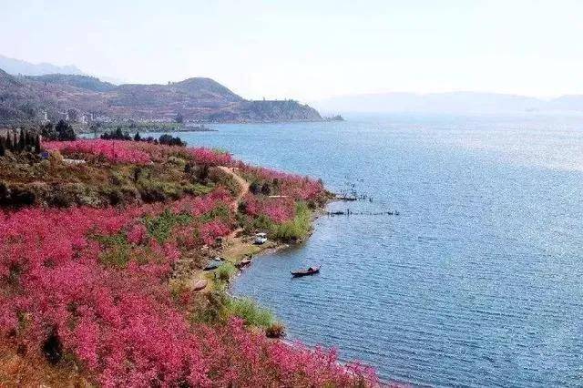 除了看櫻花撫仙湖正規景點有:櫻花谷(雲南小三亞之稱),祿充風景區