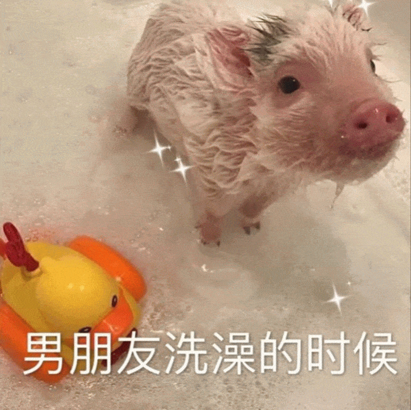 情侣小猪猪表情包:我这么可爱,别人捡到是不会还给你的_手机搜狐网