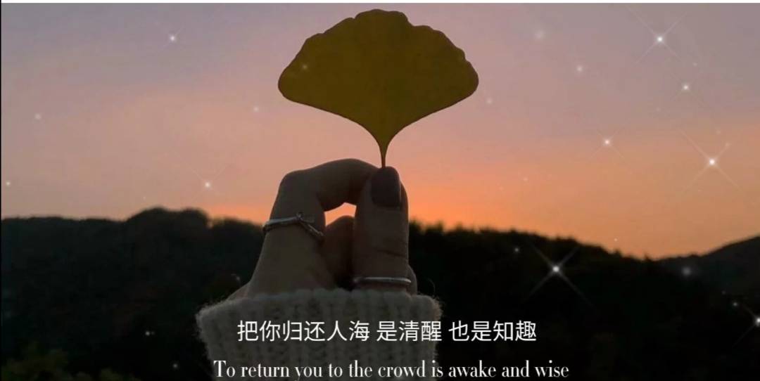 适合拍照发的文案