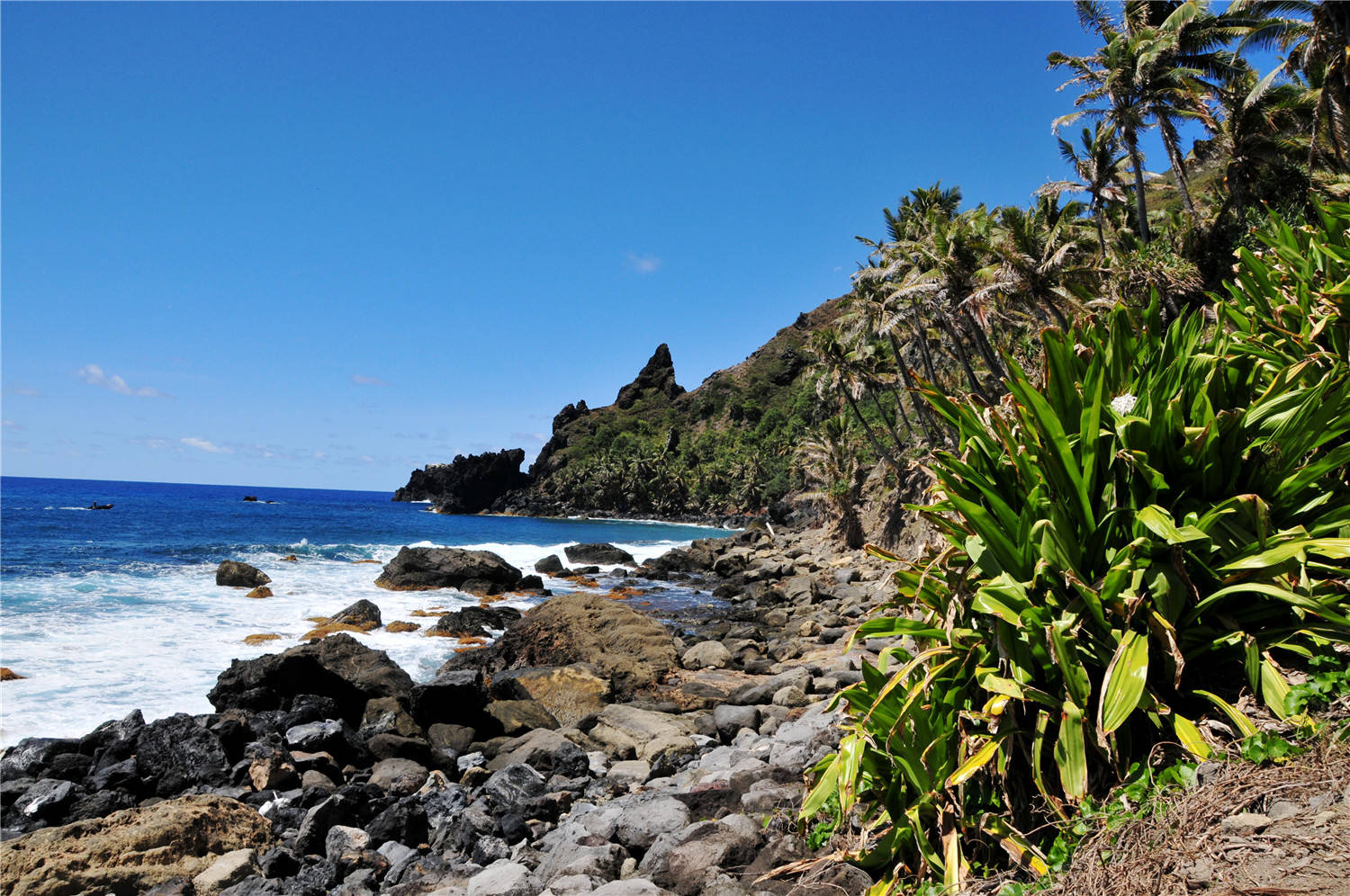 18世纪末一艘英国战舰在太平洋上发生哗变,船员为了躲避英国海军,便