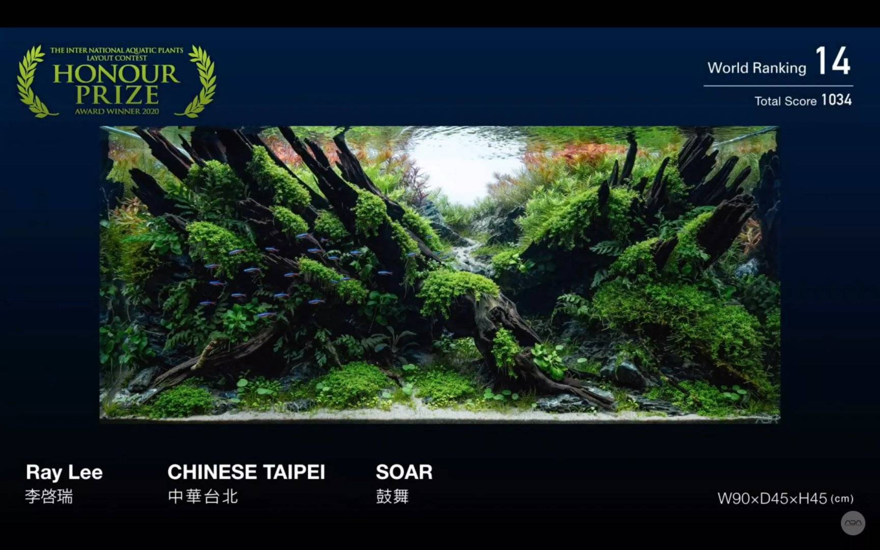 ada iaplc 2020水草造景比赛top27