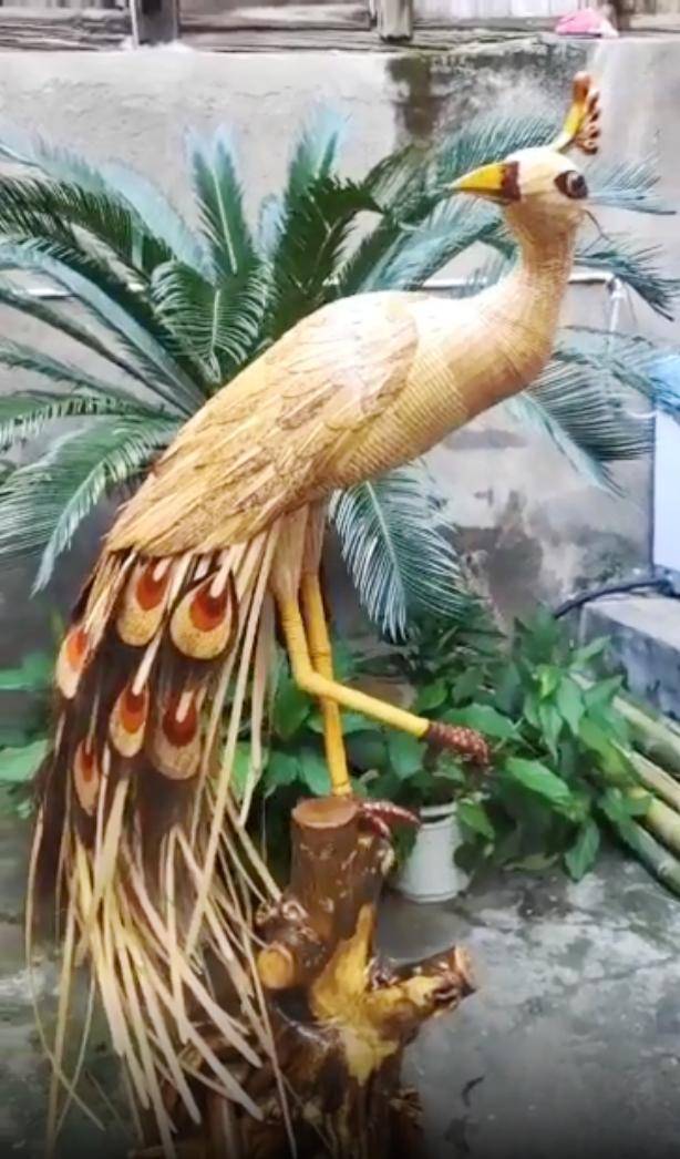 瑞金"孔雀"杀入全国十强_手机搜狐网