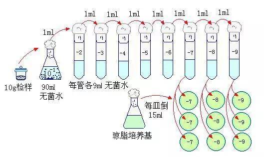 【精华】菌落总数检测技术要点