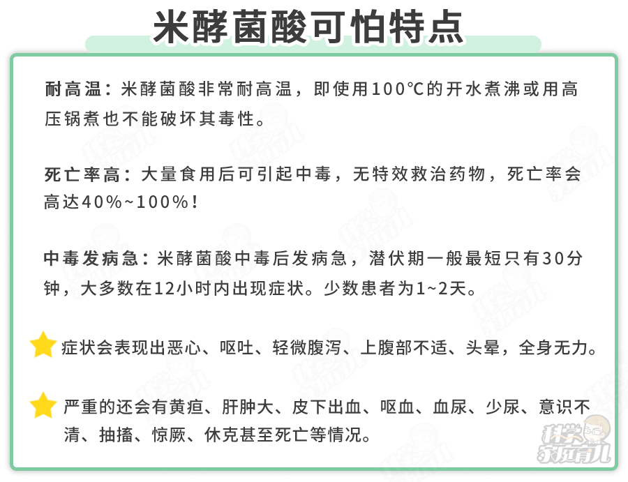 所以才会引发可怕的米酵菌酸中毒!