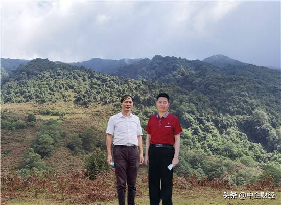 云南镇康:深耕茶叶产业 打造脱贫攻坚"桥头堡"_手机搜狐网