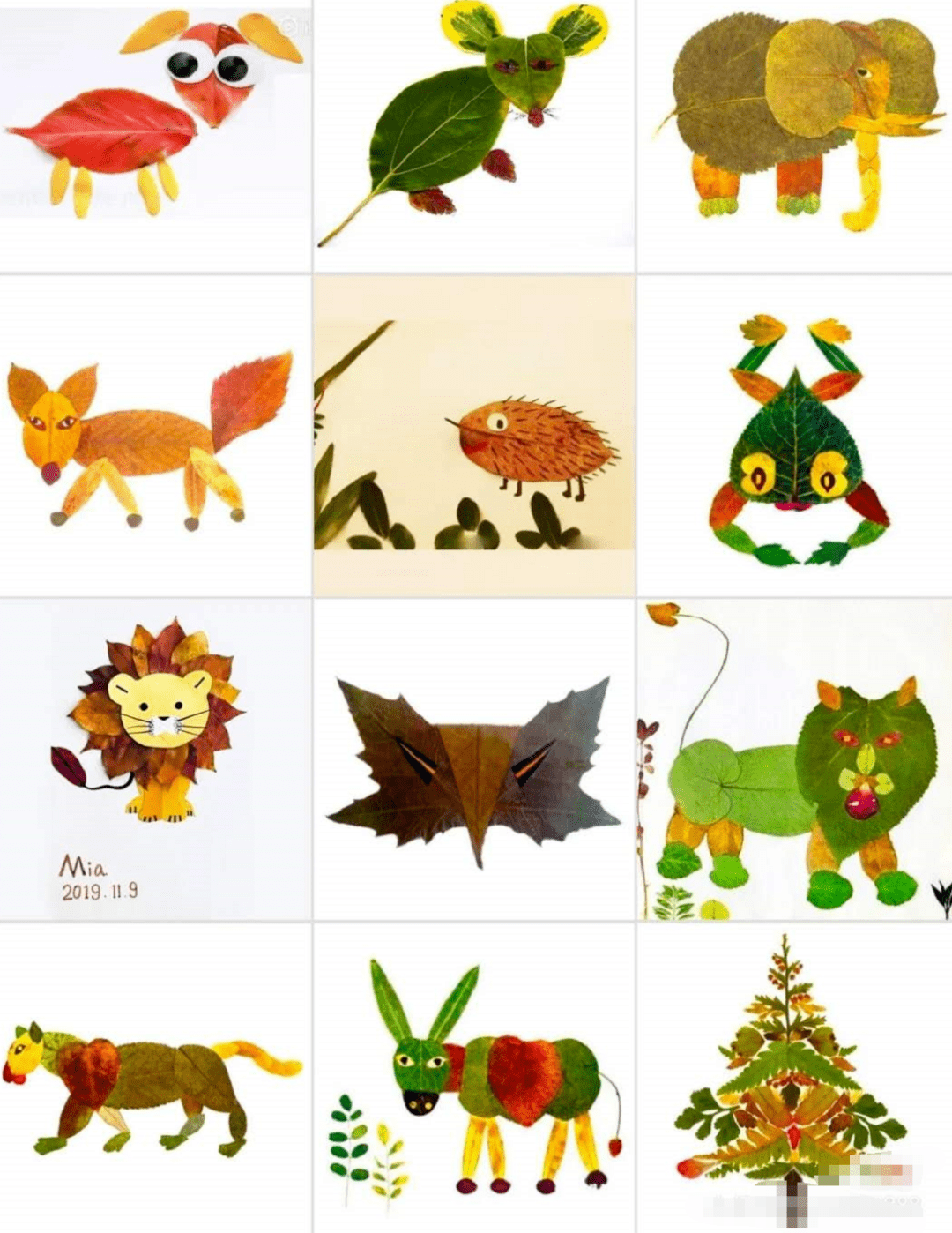 5本图画书 88个创意手工,承包你的秋季仪式感_树叶