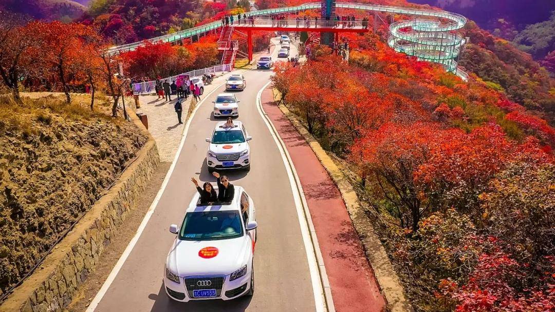 省自驾车旅游协会今天组织200余辆自驾车走进淄博网红景区助力开拓非