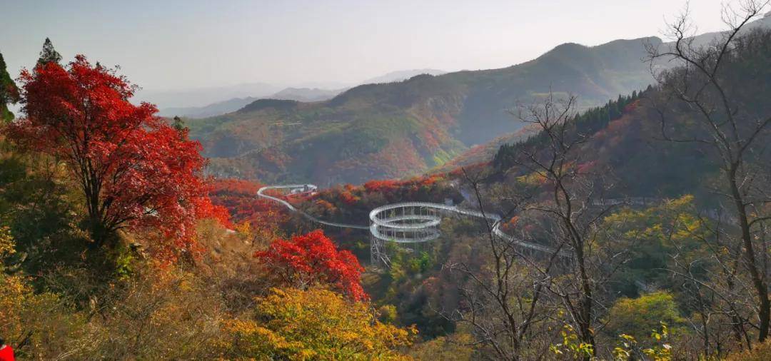 省自駕車旅遊協會今天組織200餘輛自駕車走進淄博網紅景區助力開拓非