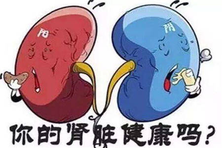 高血压和糖尿病患者要筛查慢性肾病!