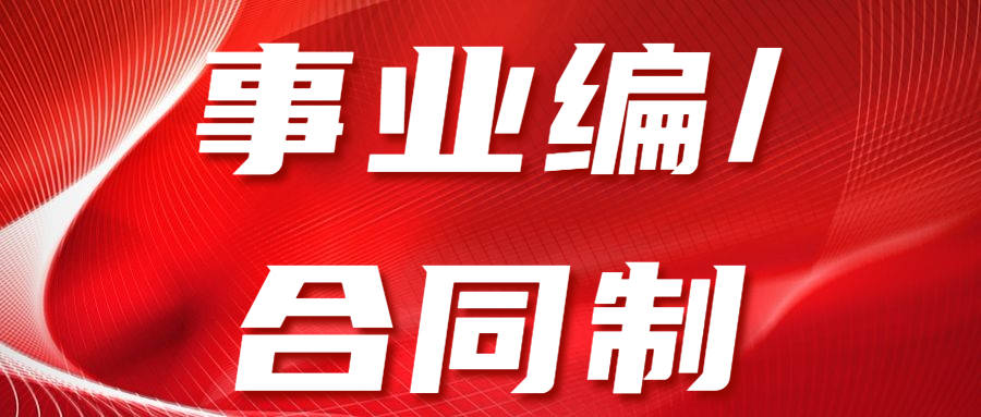 事業編vs合同制?除了工資,差距在哪裡?